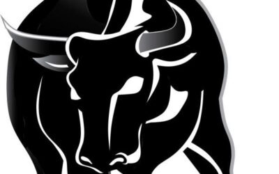 La guida definitiva dei “BULL” per le coppie scambiste.