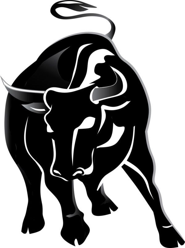 La guida definitiva dei “BULL” per le coppie scambiste.