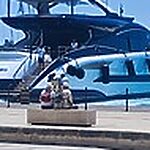 Member