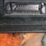 Member