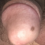 Member