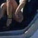 Member