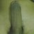 Foto del profilo di vito