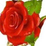 Member