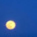 Member