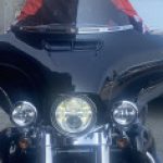 Member